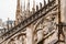 Intricate arched roof overlays of the Duomo. Italy, Milan