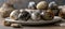 Intricate black and white marble patterned easter eggs on white plate, clean backdrop