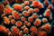 An intricate close-up of a coral\\\'s polyps, the vibrant colors and textures of life beneath the sea