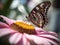 Intricate Details: A Low-Angle Shot of a Butterfly and Flower in Shallow Depth of Field