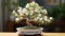 the intricate details of the smallest white bonsai rose plant