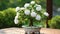 the intricate details of the smallest white bonsai rose plant