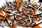 intricate doodle art illustration with abstract patterns in white, orange, and black hues