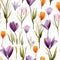 Intricate Floral Arrangement: Vibrant Purple And Orange Crocuses On White Background