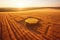 intricate hexagonal crop circle in a vast wheat field