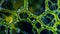 The intricate network of branching filaments within a single algae cell resembling a finely crafted lacework of