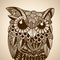 Intricate owl design. Vector illustration decorative design