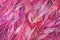 An intricate pattern of magenta and pink with each line visible when vied in close detail. Trendy color of 2023 Viva