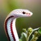 The intricate patterns on the red milk snake\'s skin reveal the artistry of evolution