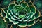 The intricate patterns and textures of a succulent\\\'s rosette, showcasing nature\\\'s precision engineering