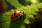 Intricate scene ladybug explores leaf edge, a tiny vibrant wanderer