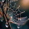 Intricate Spider Web, Made with Generative AI