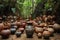 intricate tribal pottery on jungle floor