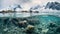 Intricate Underwater Worlds: Exploring The Arctic Glaciers\\\' South Beach Reef
