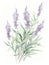 Intricate Watercolor Lavender Sprigs in Soft Purple and Green Hues AI Generated