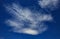 Intricate white cloud on a blue background