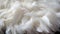 Intricate white feather texture background detailed digital art of large bird feathers