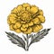 Intricate Woodcut Style Illustration Of A Yellow Carnation Flower