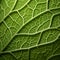 Intricately Detailed Close-up Of Snapdragon Leaf In Organic Contours