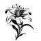 Intricately Detailed Lily Silhouette: Black And White Vector