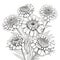 Intricately Detailed Zinnia Bouquet Coloring Pages For Adults