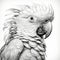 Intricately Sculpted Parrot Portrait: Detailed Pencil Drawing