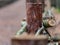 Intriguing rustic wicker fence, close-up background,