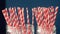 An Intriguing Shot Of Two Jars With Red And White Striped Straws