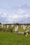 Intriguing standing stones at Carnac in Brittany, north-western France