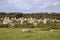 Intriguing standing stones at Carnac in Brittany, north-western France