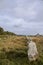 Intriguing standing stones at Carnac in Brittany, north-western France