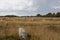 Intriguing standing stones at Carnac in Brittany, north-western France