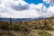 Intriguing vertical rock sculpture on Grand Mesa