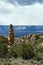 Intriguing vertical rock sculpture on Grand Mesa