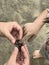 Introducing baby crabs to young boy at the beach