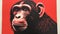 Intrusive Media Art: A Close-up Portrait Of A Monkey On A Red Background