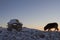 Inuksuk landmark covered in snow with dog in the scene found on a hill near the community of Cambridge Bay