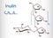 Inulin molecule. Structural chemical formula and molecule model