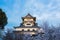Inuyama castle historic building landmark in spring with beautiful cherry blossom