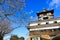 Inuyama Castle in Japan