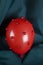 invasion red balloon ladybug