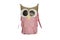 The invention and decoration of items from empty toilet paper roll and color paper is owl isolated on white background.