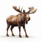 Inventive 3d Render Of A Brown Moose On White Background