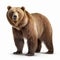 Inventive 3d Rendering Of Grizzly Bear On White Background