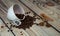 An inverted cup with coffee beans, cinnamon sticks and star anise lie on a wooden table. Close-up