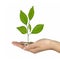 Investing to green business