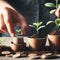 Investment concept, Businessman putting coin to money tree growing from seed