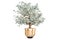 Investment or energy savings concept. Lightbulb with money tree