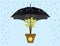 Investment invest protection umbrella protect trees gold coin