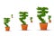 Investment money growing, Indian rupee symbol